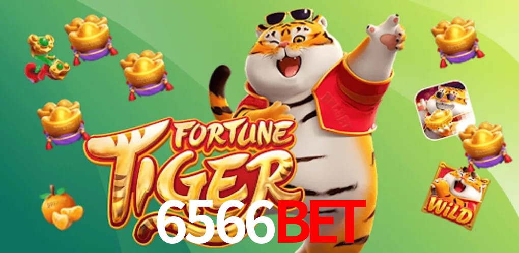 Experiência VIP 6566Bet